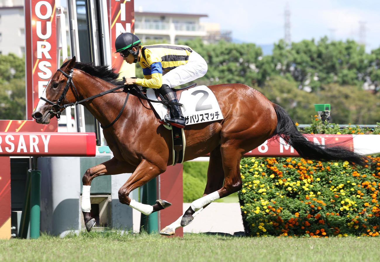 阪神5R、逃げ切って新馬戦を制したザパリスマッチ（撮影・白石智彦）