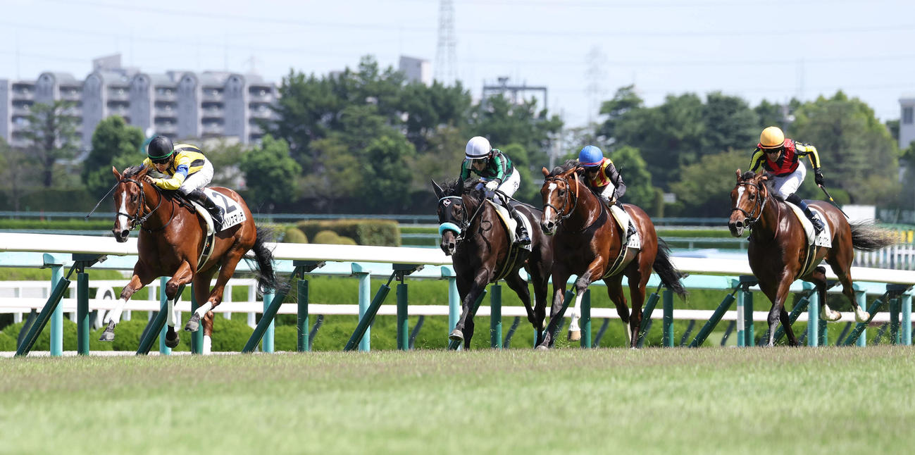 阪神5R、逃げ切って新馬戦を制したザパリスマッチ（左）（撮影・白石智彦）