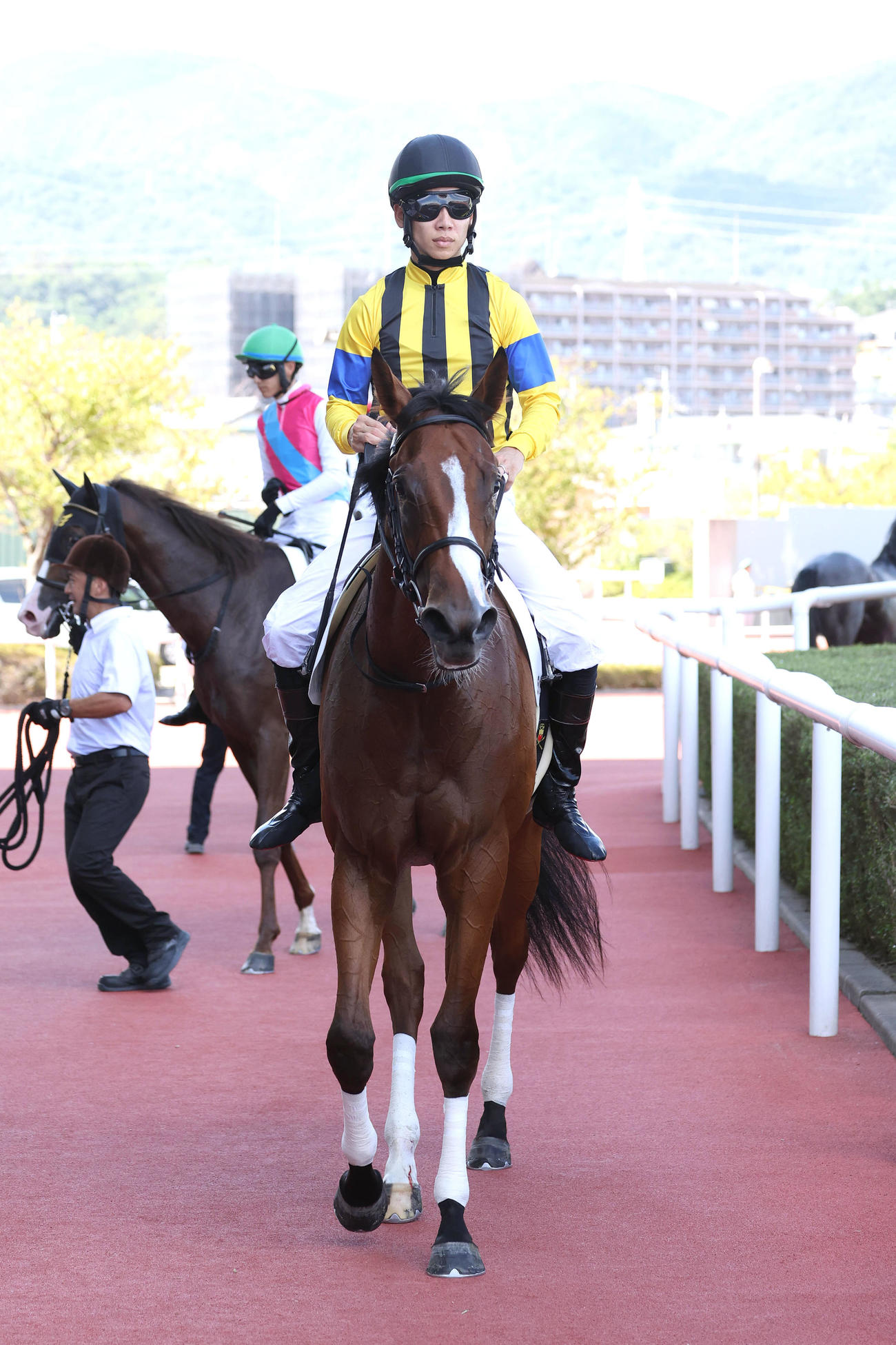 阪神5R、新馬戦を制したザパリスマッチ（撮影・白石智彦）