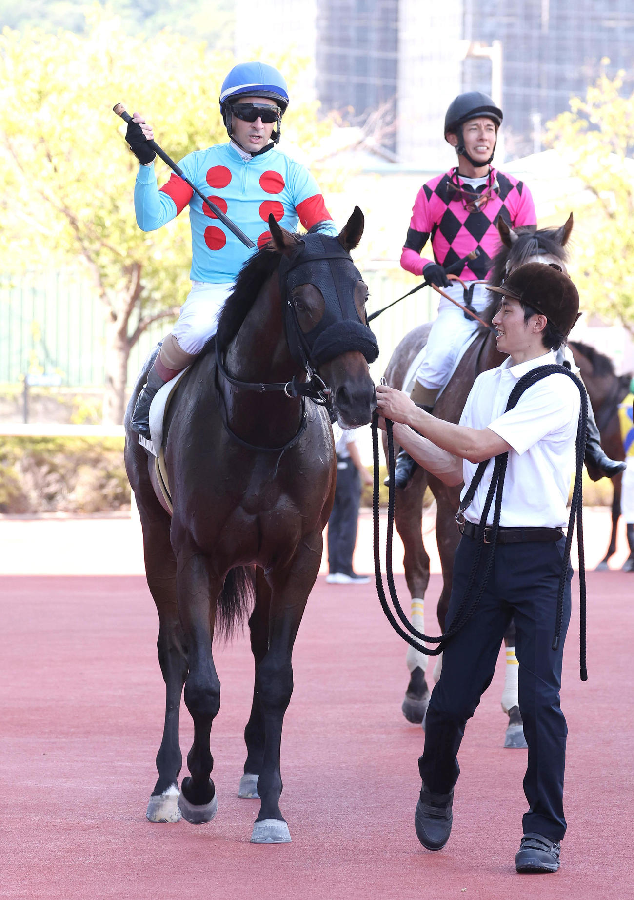 阪神4R、新馬戦を快勝したエストレヤデベレン（撮影・白石智彦）