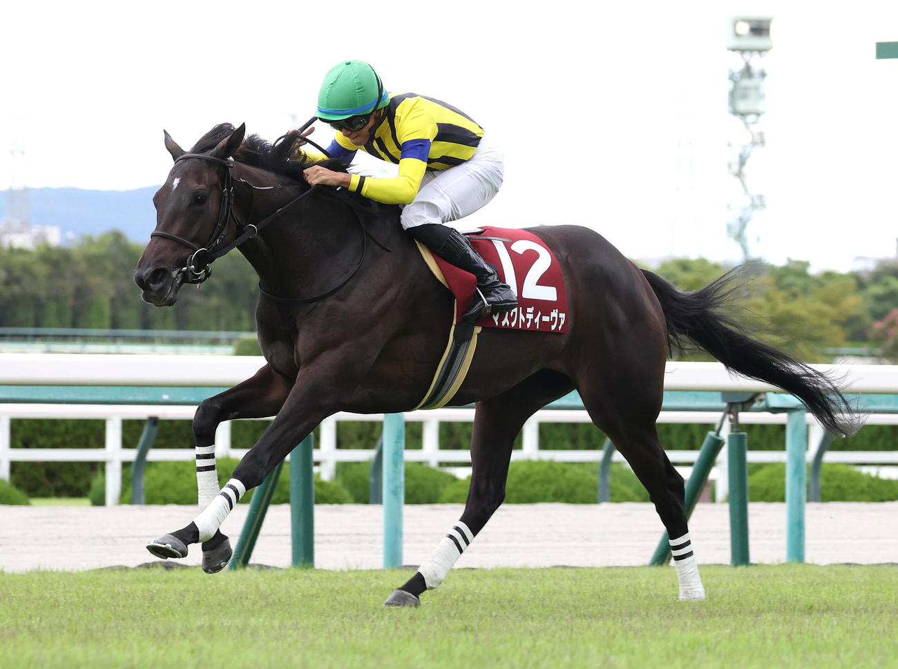 日本レコードでローズSを快勝したマスクトディーヴァ（撮影・白石智彦）