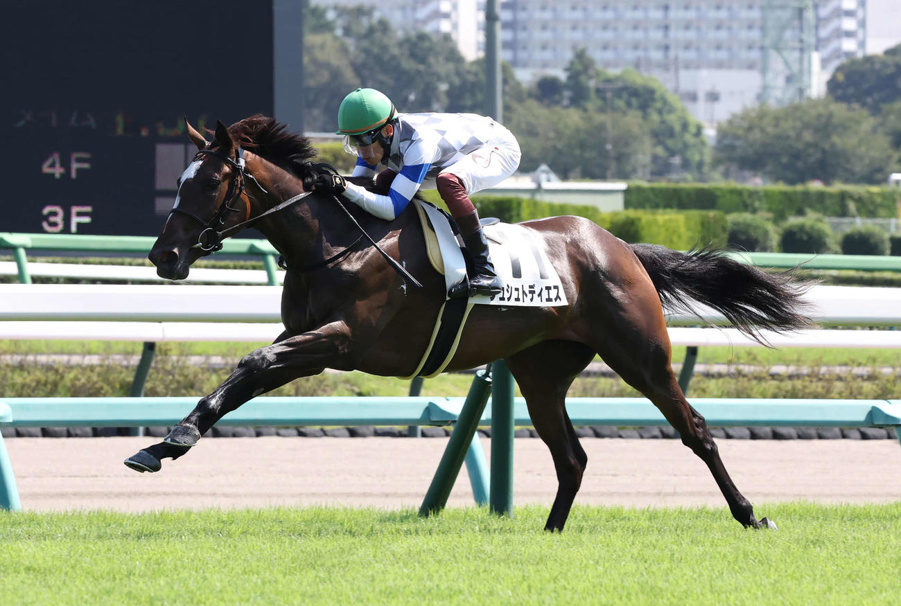中山5R、2歳新馬戦を制したシュシュトディエスと三浦騎手（撮影・丹羽敏通）