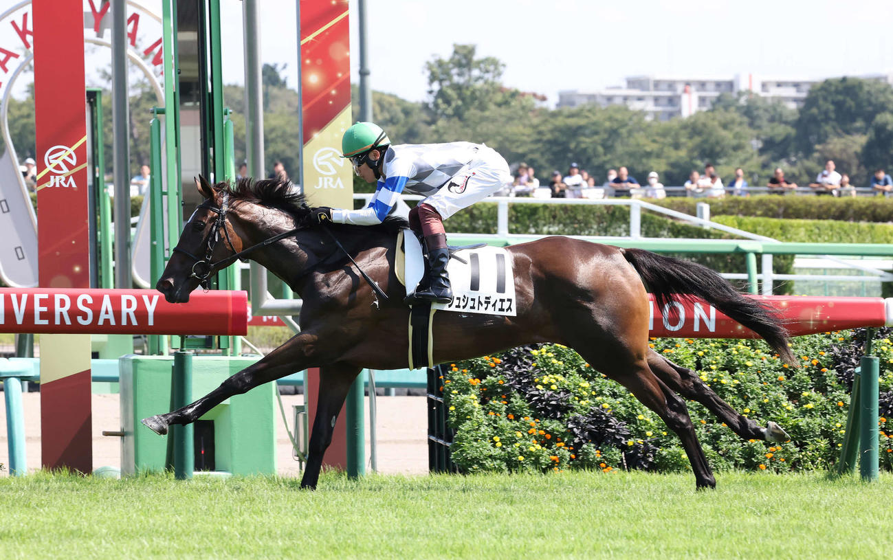 中山5R、2歳新馬戦を制したシュシュトディエスと三浦騎手（撮影・丹羽敏通）