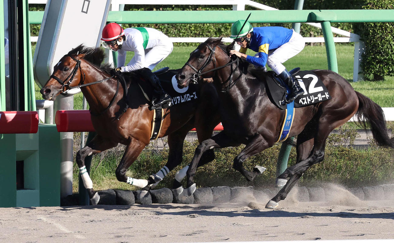 中山11R、ラジオ日本賞を制したウィリアムバローズと丹内騎手（左）（撮影・丹羽敏通）