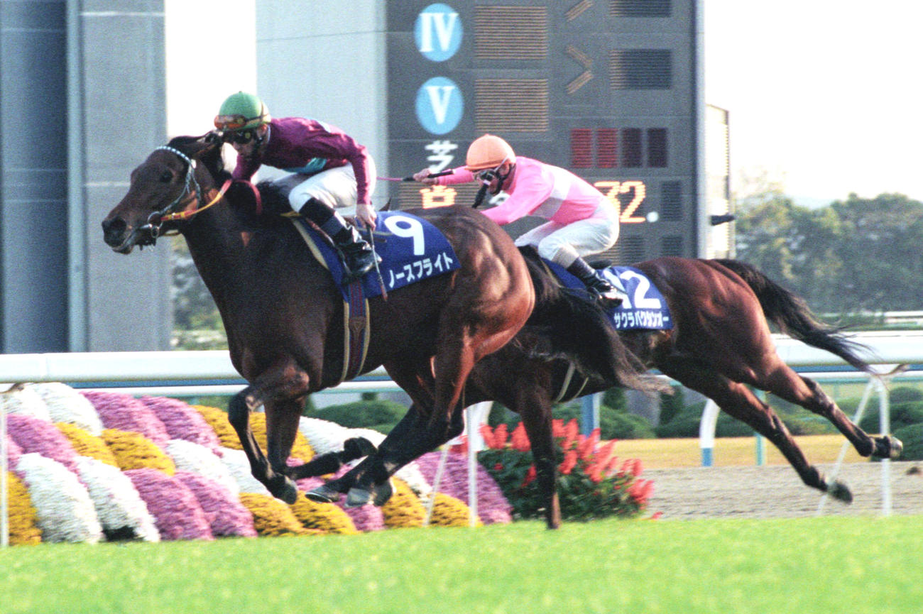 94年マイルCSでサクラバクシンオー（右）を破り優勝したノースフライト