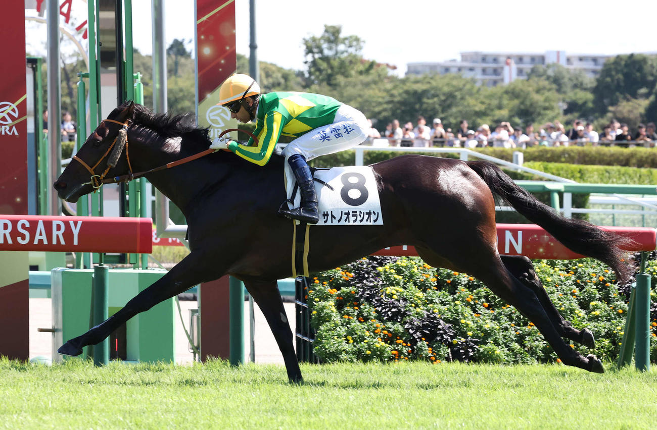 中山4R、2歳未勝利戦を制したサトノオラシオンとモレイラ騎手（撮影・丹羽敏通）