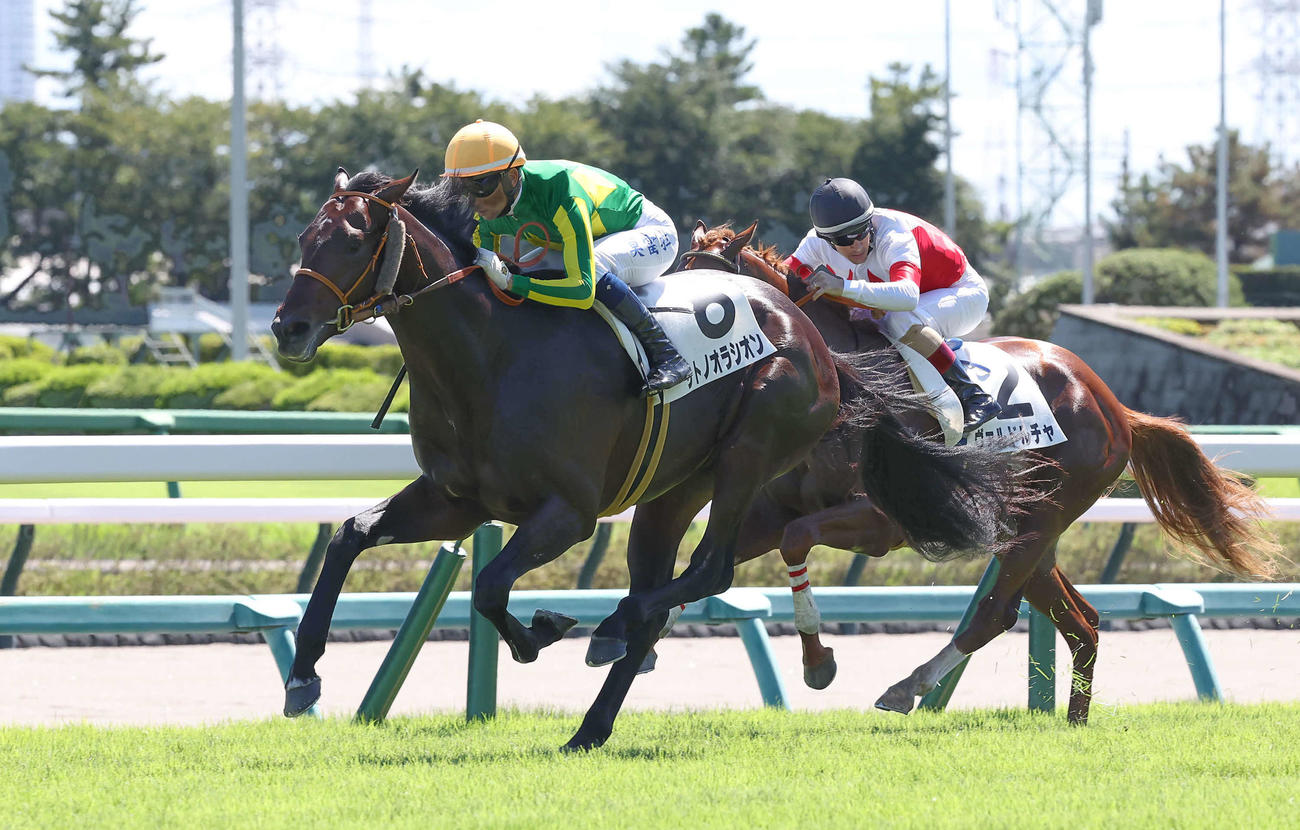 中山4R、2歳未勝利戦を制したサトノオラシオンとモレイラ騎手（撮影・丹羽敏通）