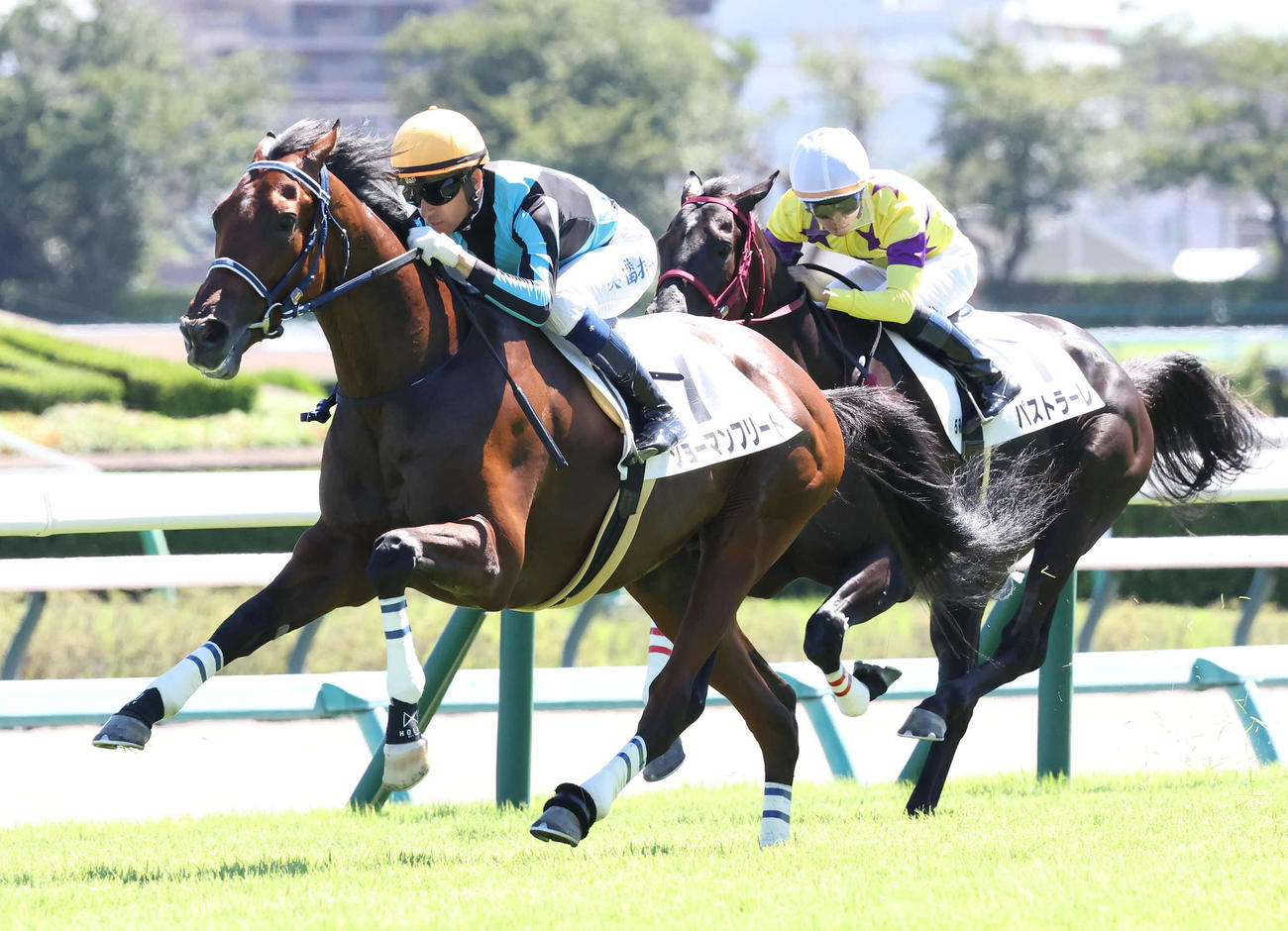 中山5R、2歳新馬戦を制したショーマンフリートとモレイラ騎手（撮影・丹羽敏通）