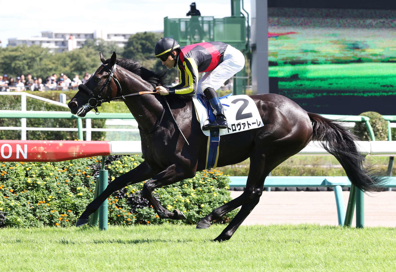 中山6R新馬戦を制したトロヴァトーレとルメール騎手（撮影・丹羽敏通）