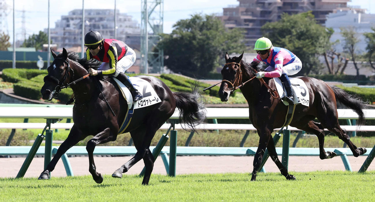 中山6R新馬戦を制したトロヴァトーレとルメール騎手（撮影・丹羽敏通）