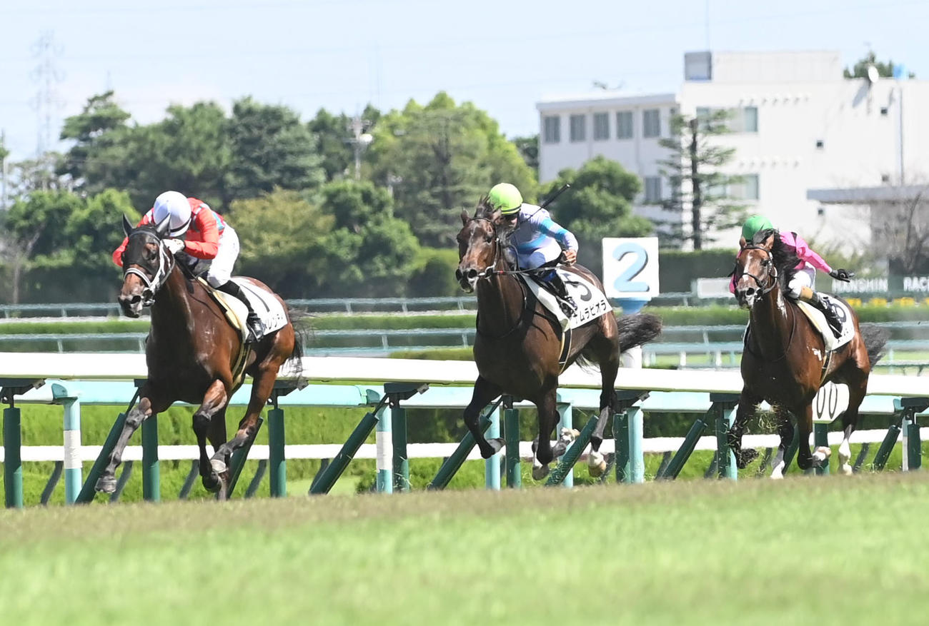 阪神5R新馬戦を制したベネメレンティ（左）（撮影・滝沢美穂子）