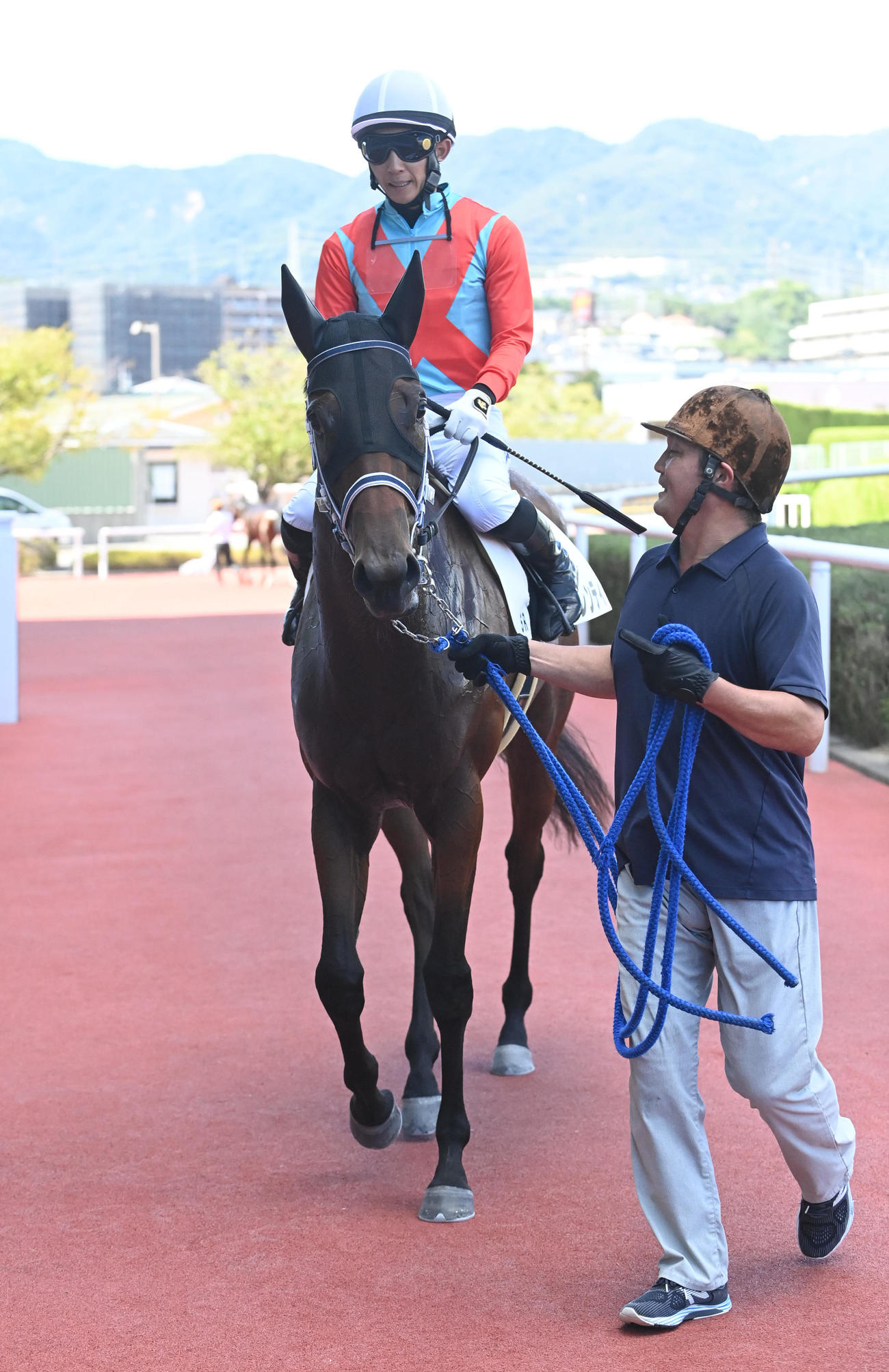 阪神5R新馬戦を制したベネメレンティ（撮影・滝沢美穂子）