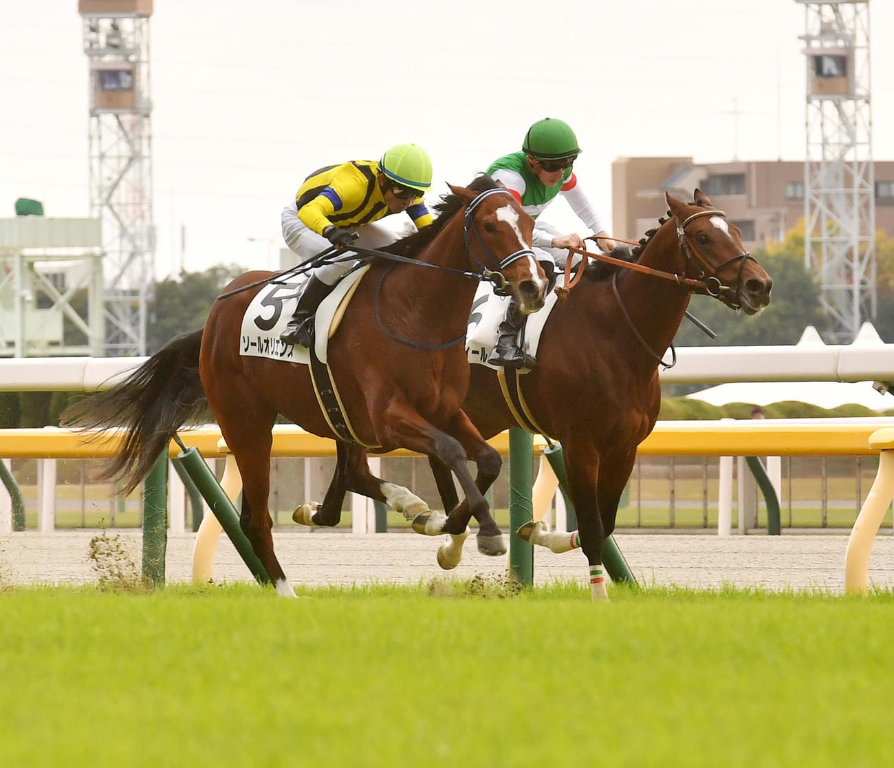新馬戦を制したソールオリエンス。右は2着のレーベンスティール（2022年11月13日撮影）