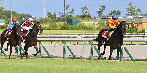 ジャスティンパレス（右）はゴール前で突き抜け神戸新聞杯を制した（撮影・和賀正仁）＝2022年9月25日、中京競馬場