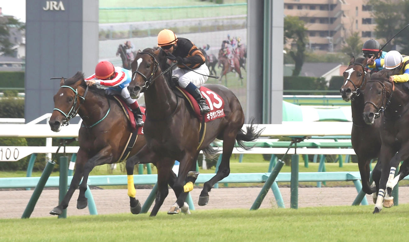 15年セントライト記念を制したキタサンブラック