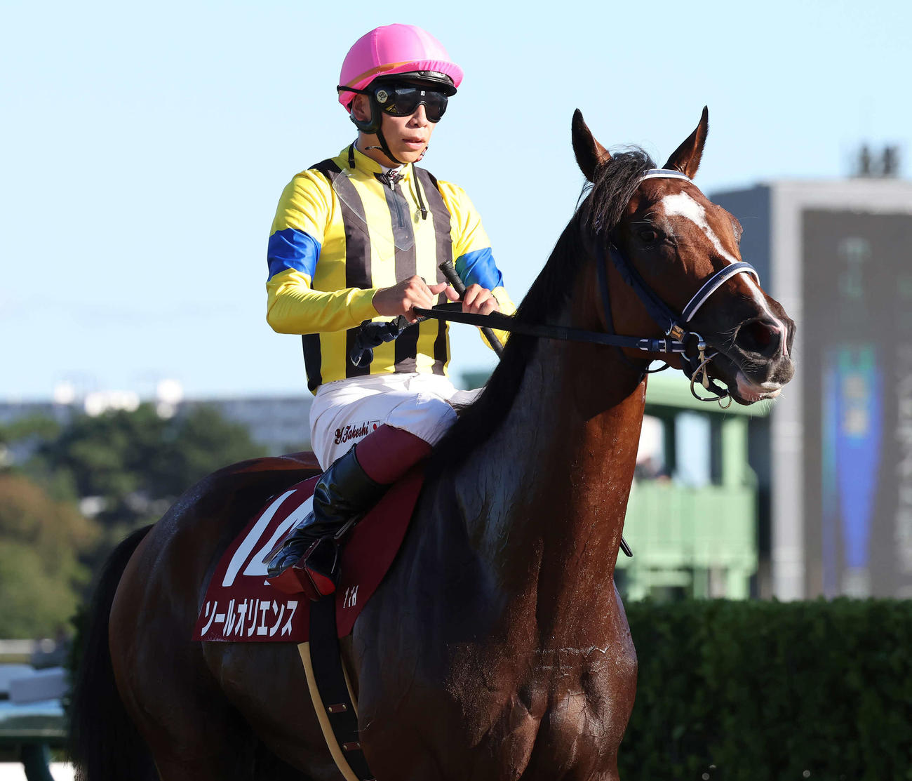 セントライト記念で2着に敗れたソールオリエンスと横山武騎手（撮影・丹羽敏通）