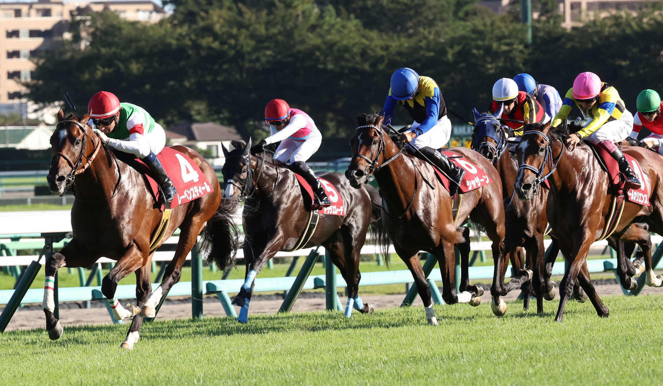 セントライト記念を制したレーベンスティール（左）。右端は2着ソールオリエンス（撮影・丹羽敏通）