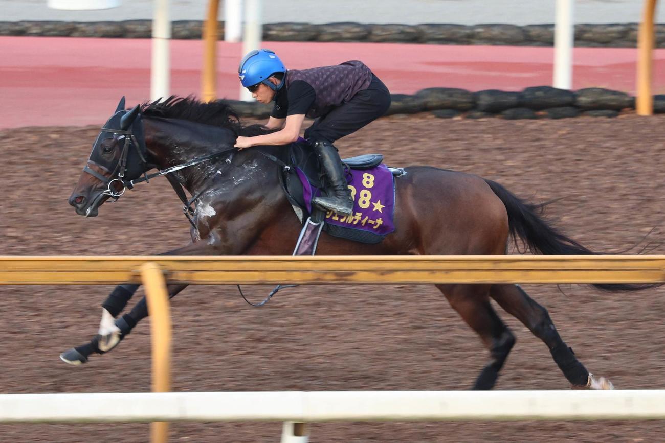 14日、CWコース単走でシッカリと追われたジェラルディーナ