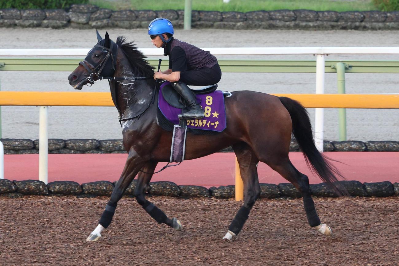 14日、馬場入りするジェラルディーナ