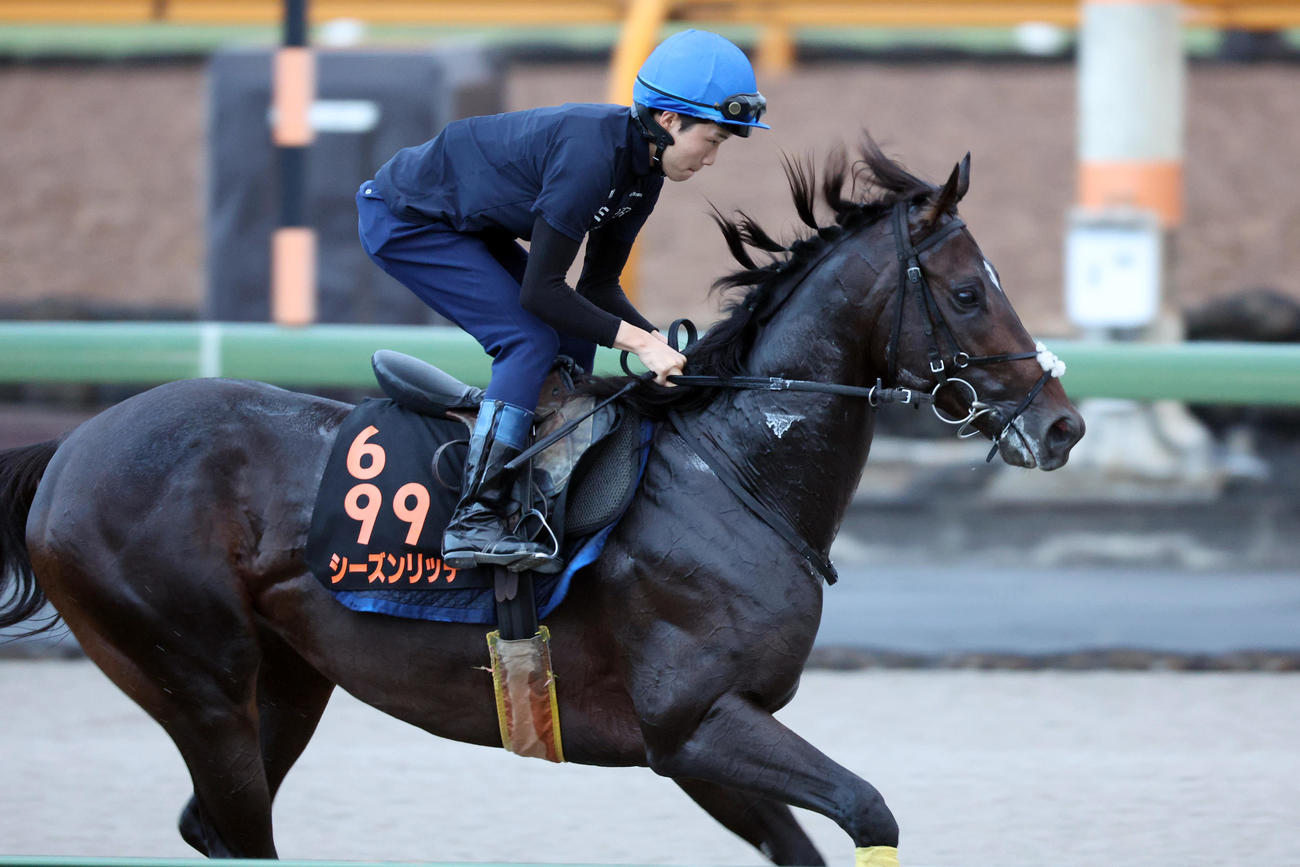 角田河騎手が騎乗し、馬場入りするシーズンリッチ