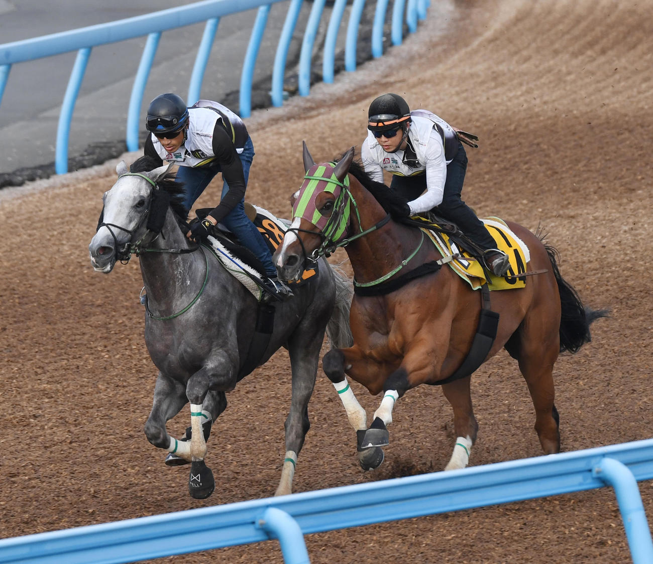 ナイトインロンドン（左）はアランデルと併せて追い切る（撮影・柴田隆二）