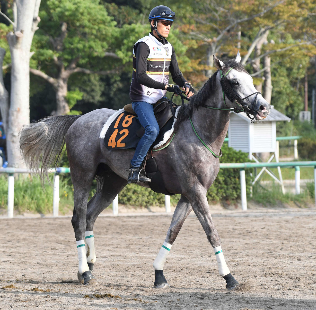 調教に向かうナイトインロンドン（撮影・柴田隆二）