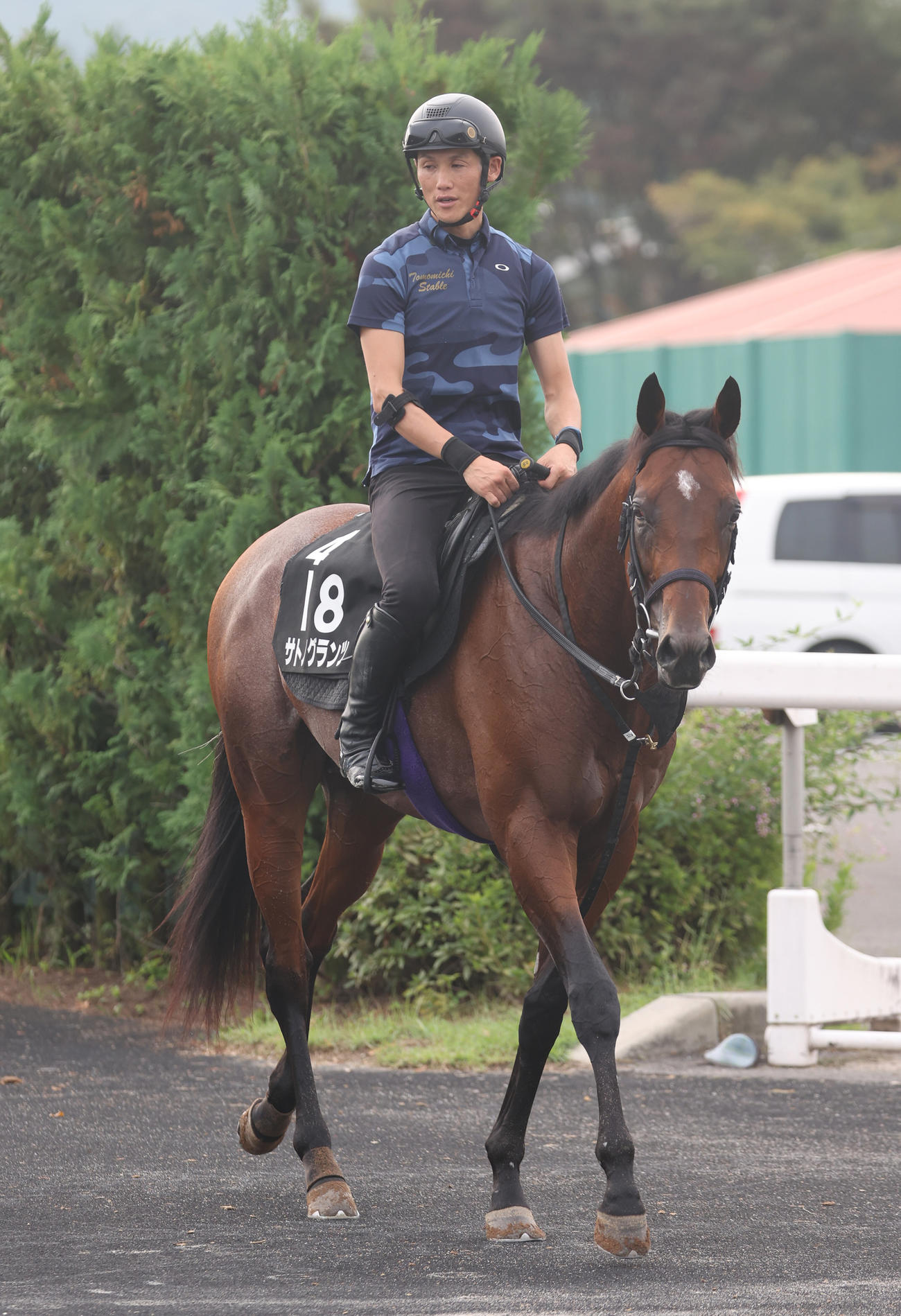 引き揚げるサトノグランツ