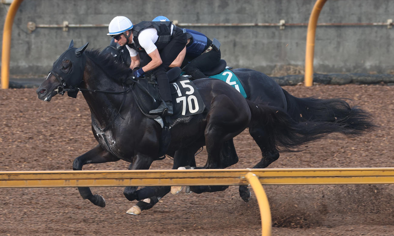 デムーロ騎手を背にCウッドにて併せ馬で追い切るショウナンバシット（左）