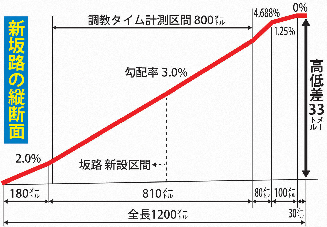 リニューアルされた美浦新坂路の縦断面