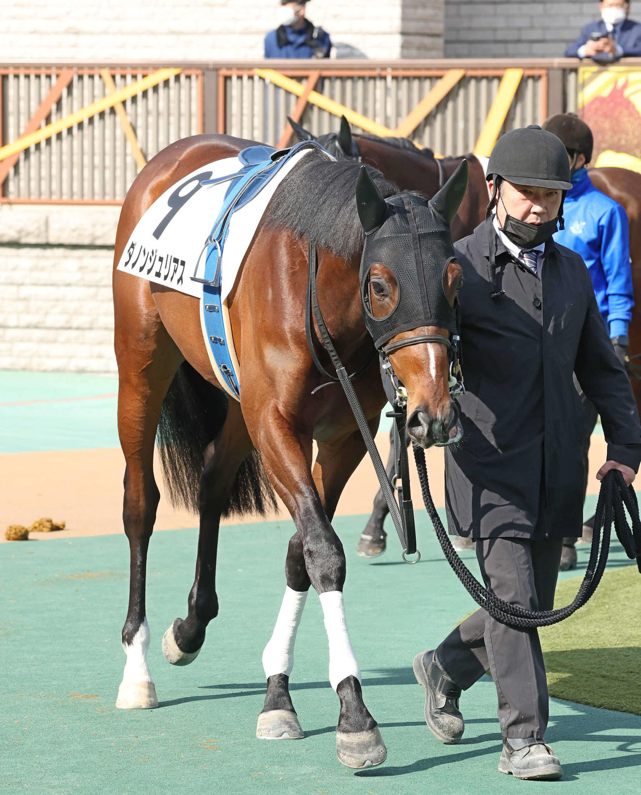 3歳新馬戦に出走したダノンジュリアス（2023年2月4日撮影）