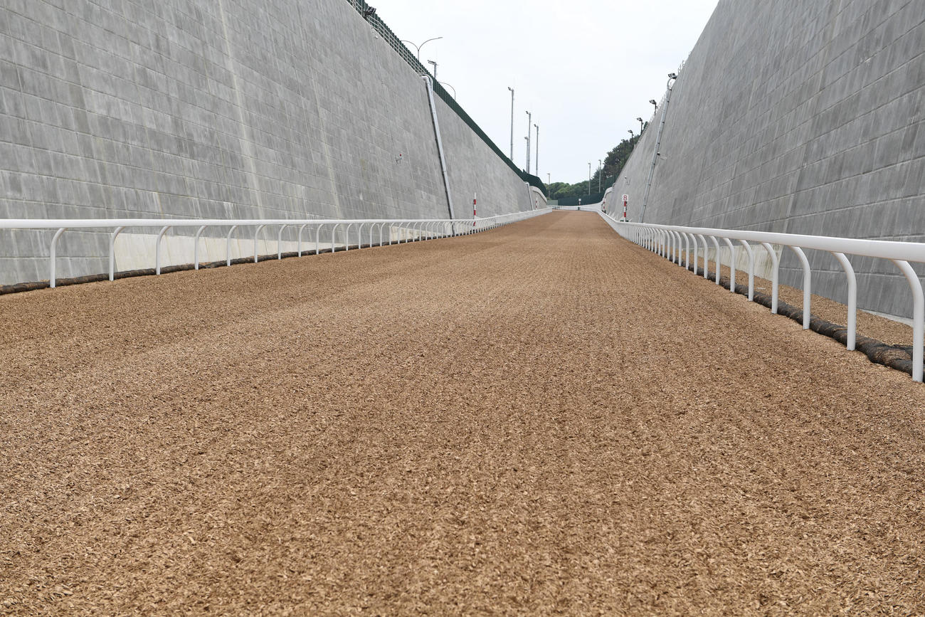 リニューアルされた美浦坂路のスタート地点（撮影・柴田隆二）