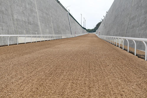  美浦新坂路が完成、栗東を上回る高低差33メートル 10・4から正式運用 - 競馬 : 日刊スポーツ Illustration 