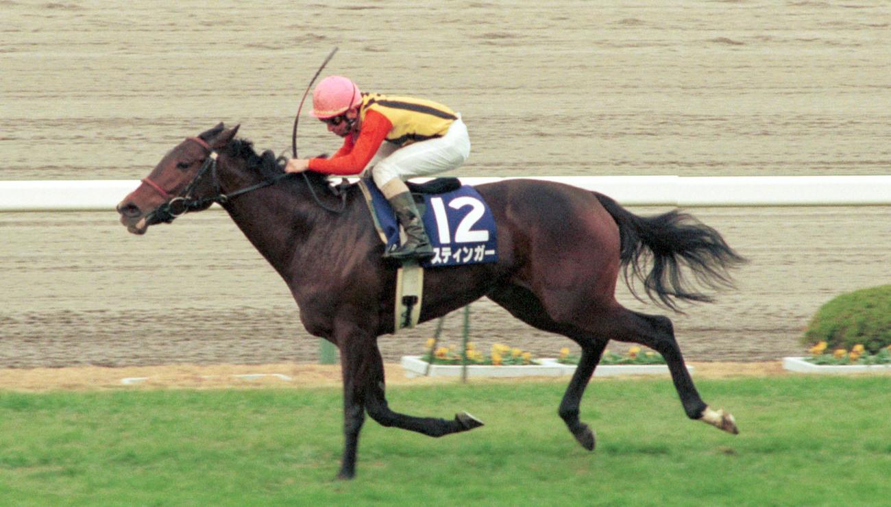 98年12月、阪神3歳牝馬Sを制したスティンガー