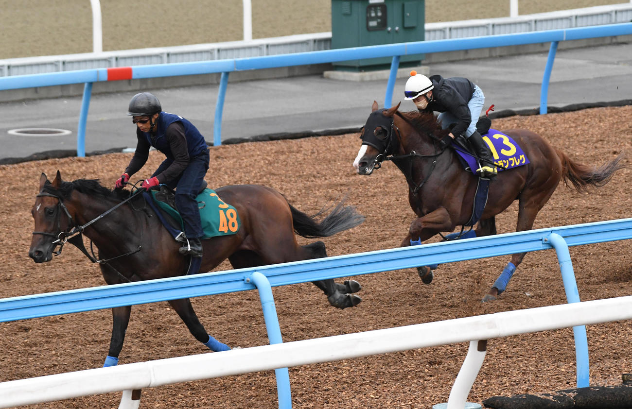 丸田騎手を背にナランフレグ（右）はシリウスコルトと併せて追い切る（撮影・柴田隆二）
