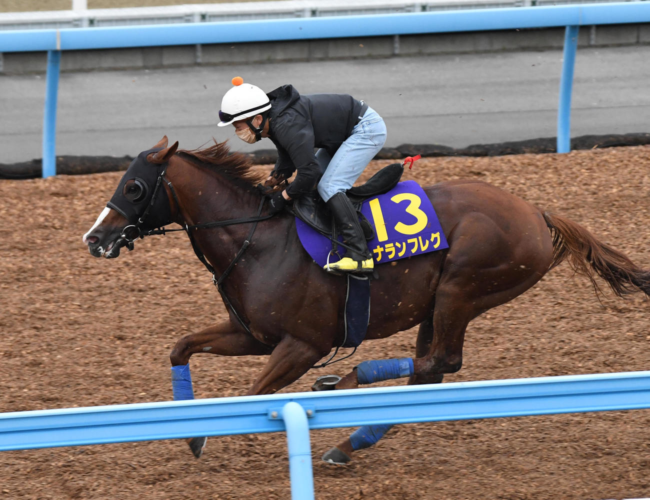 丸田騎手を背にナランフレグはシリウスコルトと併せて追い切る（撮影・柴田隆二）