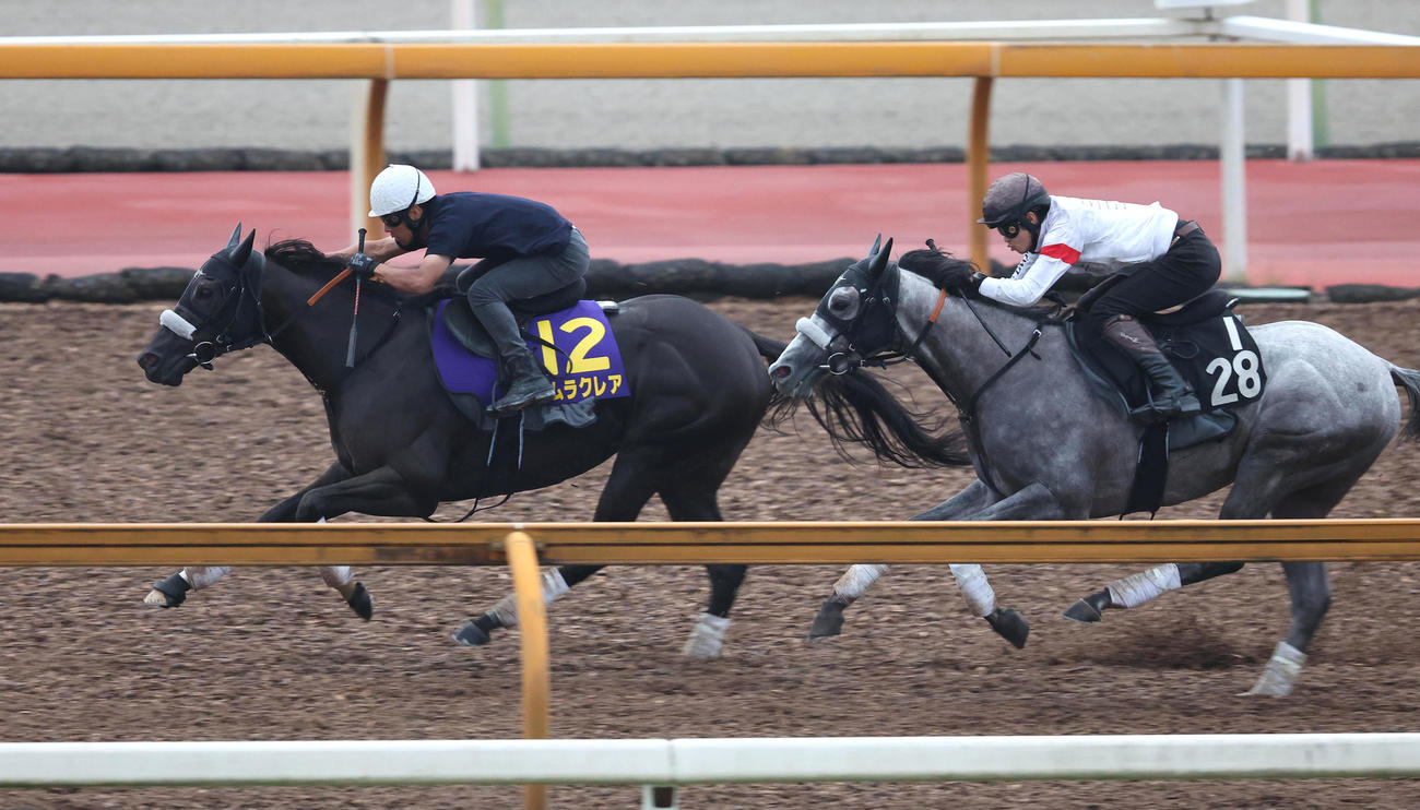 浜中騎手を背にCウッドをウインルーティン（右）と併せ馬で追い切るナムラクレア（撮影・白石智彦）
