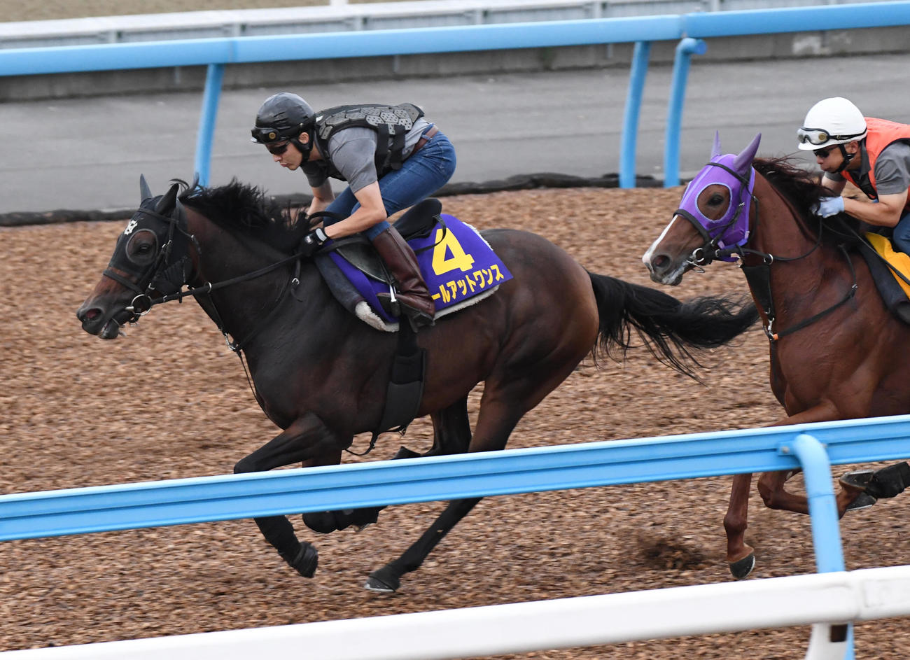 オールアットワンス（左）はスノーグレースと併せて追い切る（撮影・柴田隆二）