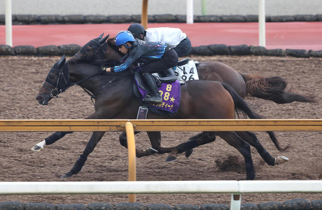 ジェラルディーナ（手前）は団野騎手を背に、ドンフランキーと併せ馬で追い切る（撮影・白石智彦）