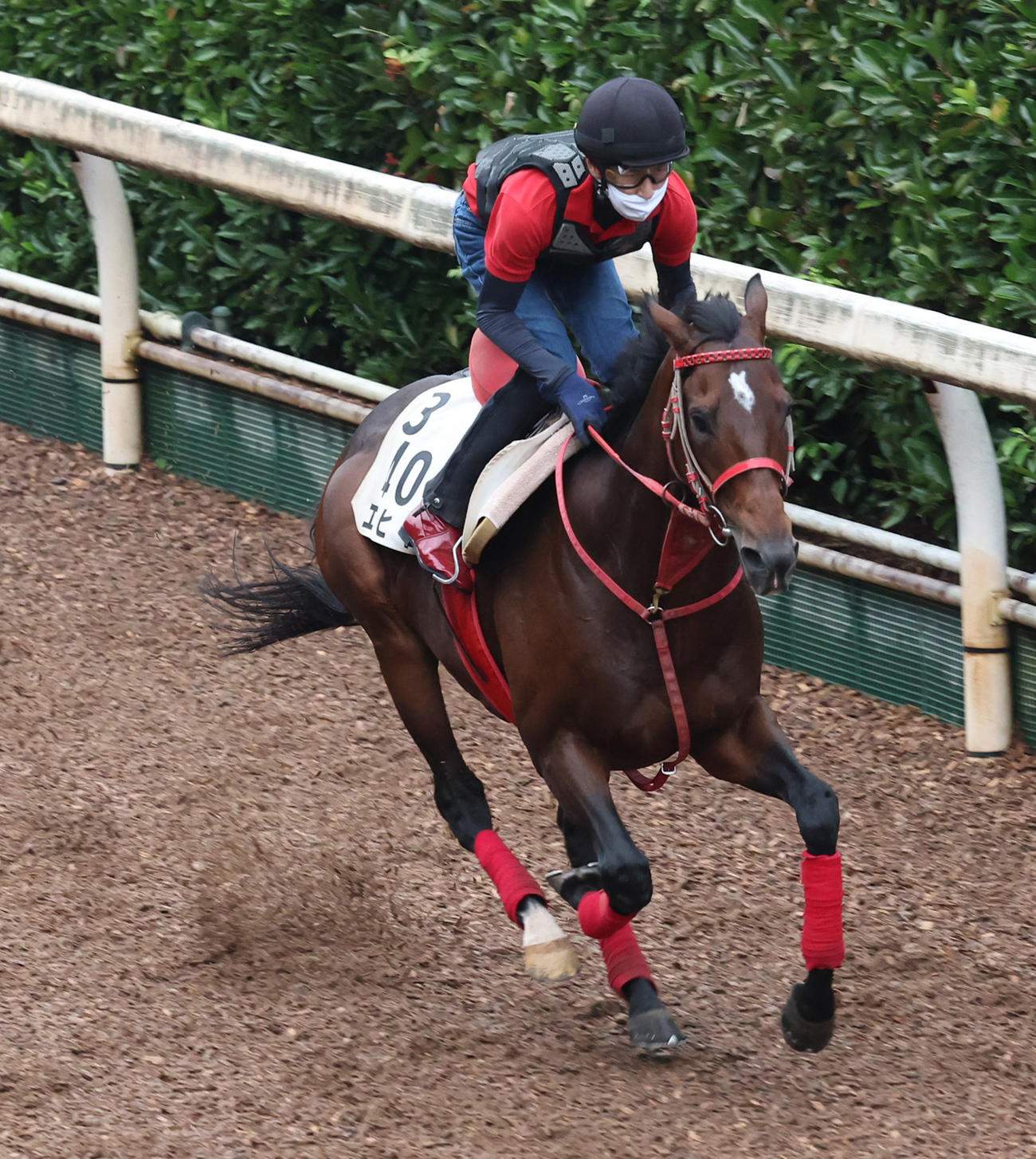 坂路で追い切るエヒト
