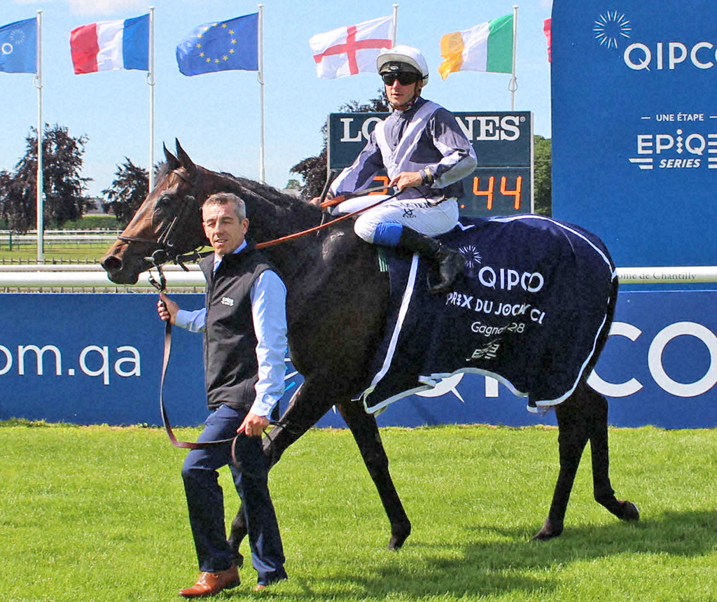 ディープインパクト産駒の仏ダービー馬スタディオブマン（2019年撮影）