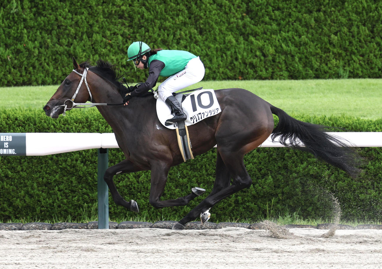 阪神4R、河原田騎手を背に新馬戦を快勝したクリノファンタジア（撮影・白石智彦）