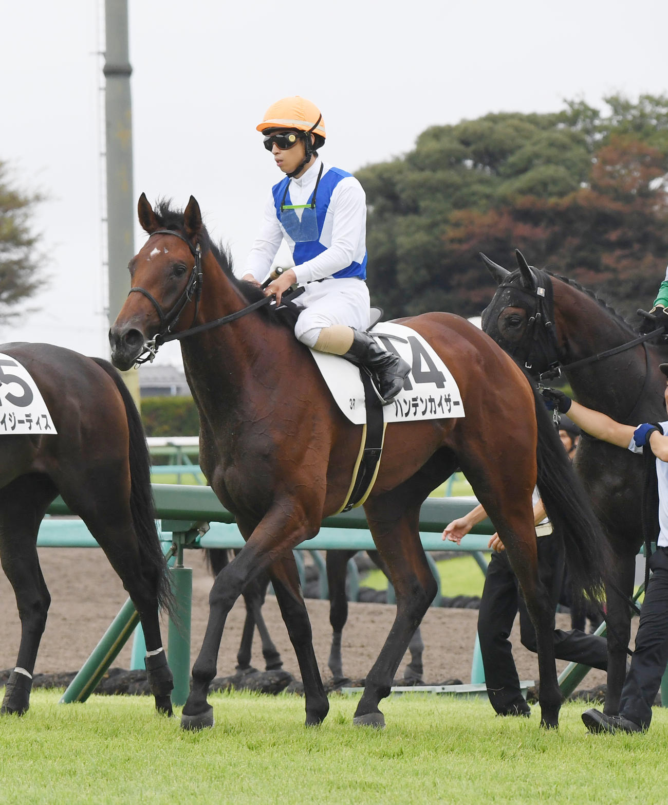 中山3R、新馬戦を制したハンデンカイザーと木幡巧騎手（撮影・柴田隆二）
