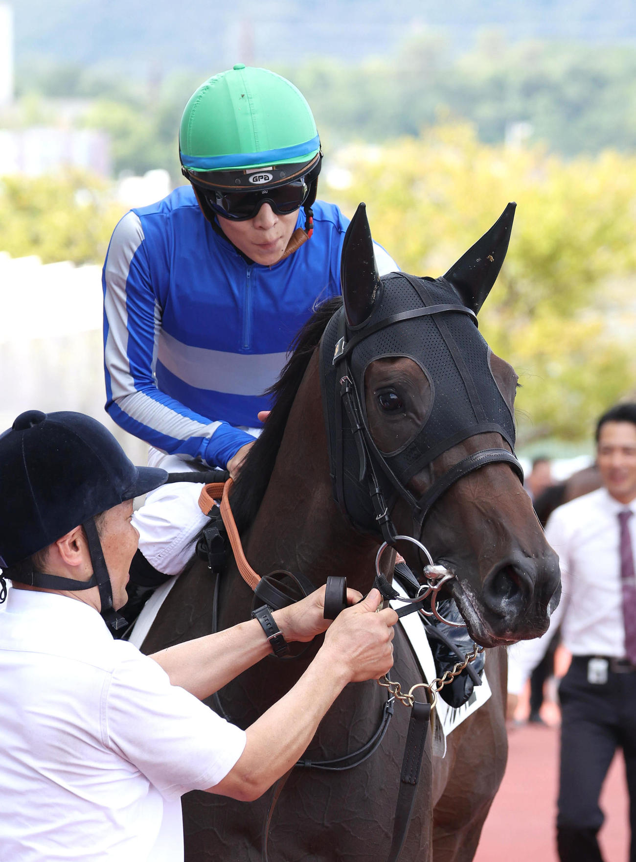 阪神5R、新馬戦を制したアルバニー（撮影・白石智彦）