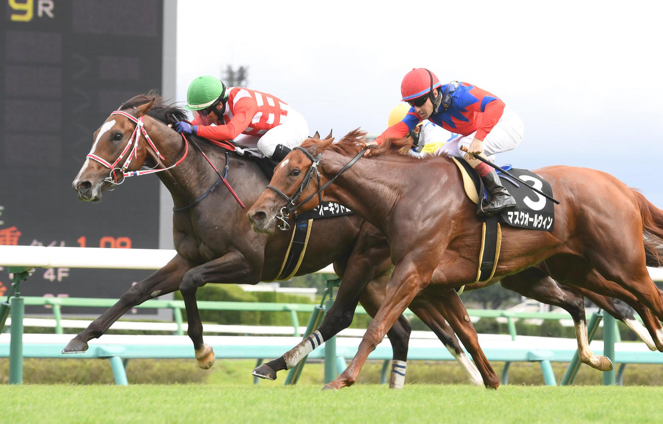 カンナSを制したオーキッドロマンス（左）、右は2着マスクオールウィン（撮影・柴田隆二）