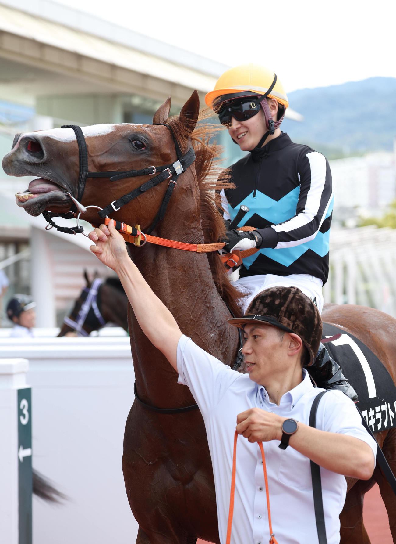 阪神8R、野路菊Sを制したヴェロキラプトル（撮影・白石智彦）