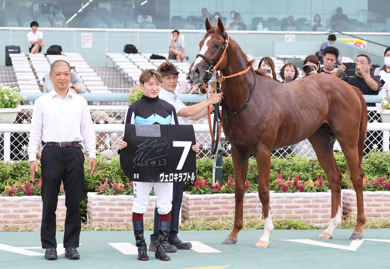 阪神8R、野路菊Sを制したヴェロキラプトルと口取りに並ぶ鮫島駿騎手（中央）（撮影・白石智彦）
