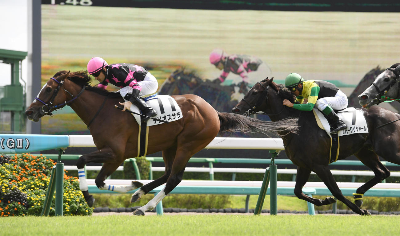 中山3R　2歳未勝利戦を制したテリオスサラ（左）（撮影・柴田隆二）