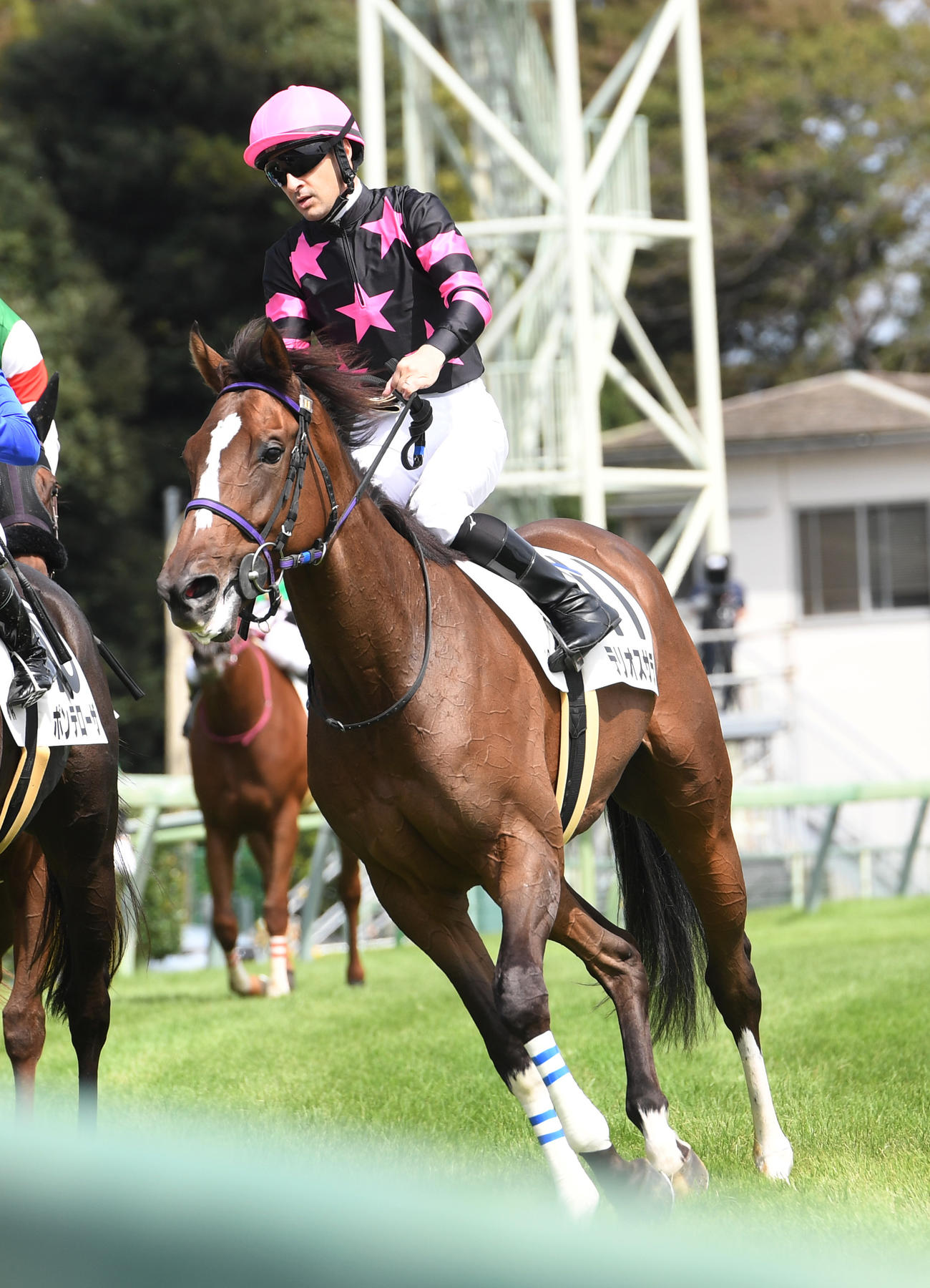 中山3R　2歳未勝利戦を制したテリオスサとルメール騎手（撮影・柴田隆二）