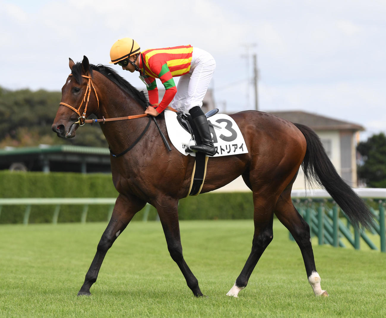 中山4R新馬戦を制したヒストリアイと佐々木騎手（撮影・柴田隆二）