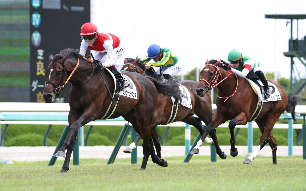 阪神5R、直線抜け出して新馬戦を制したショウナンラプンタ（左）（撮影・白石智彦）